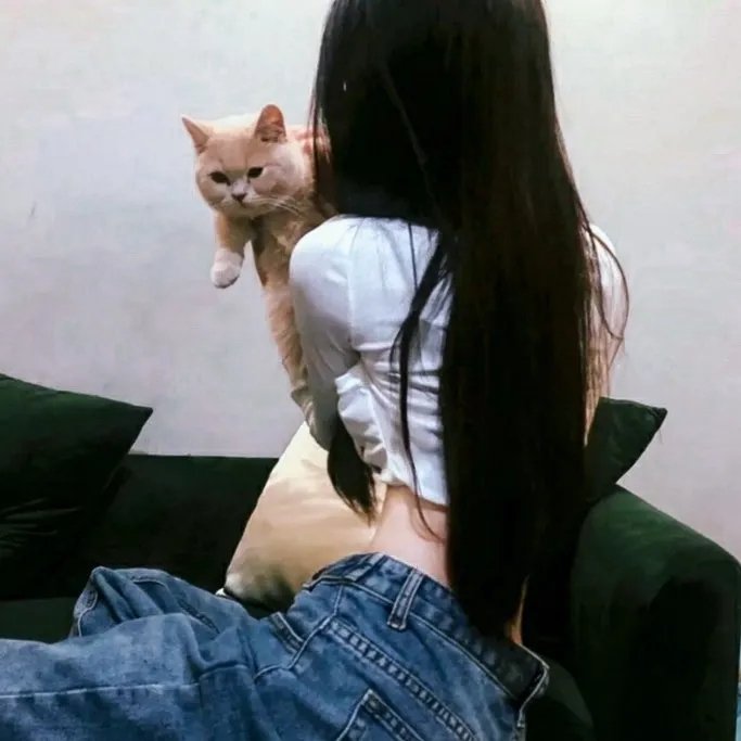 假冒女团