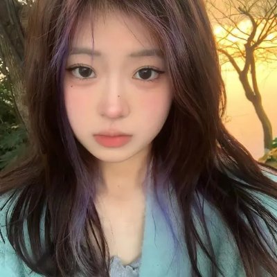 麒麟之翼
